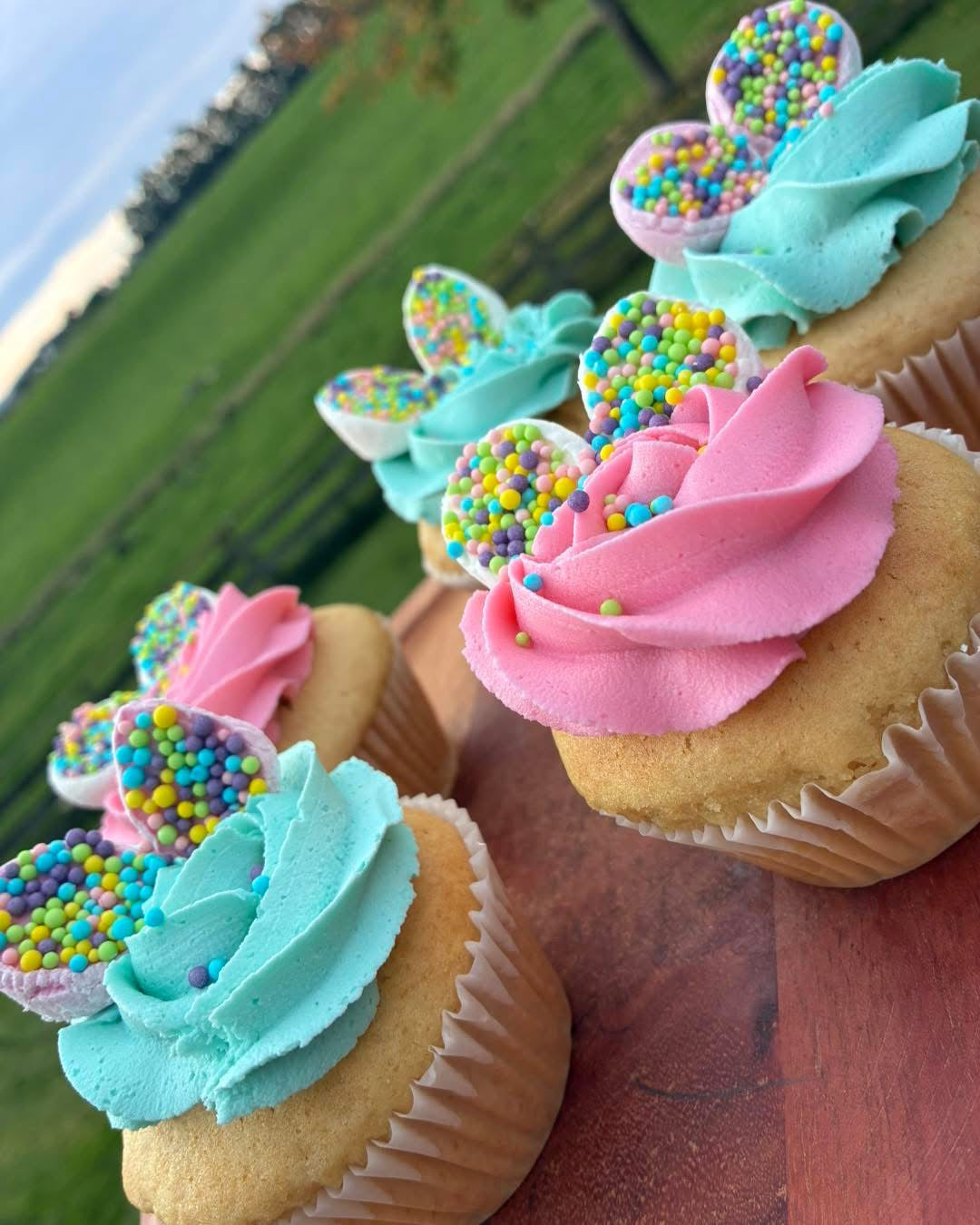 Cupcakes