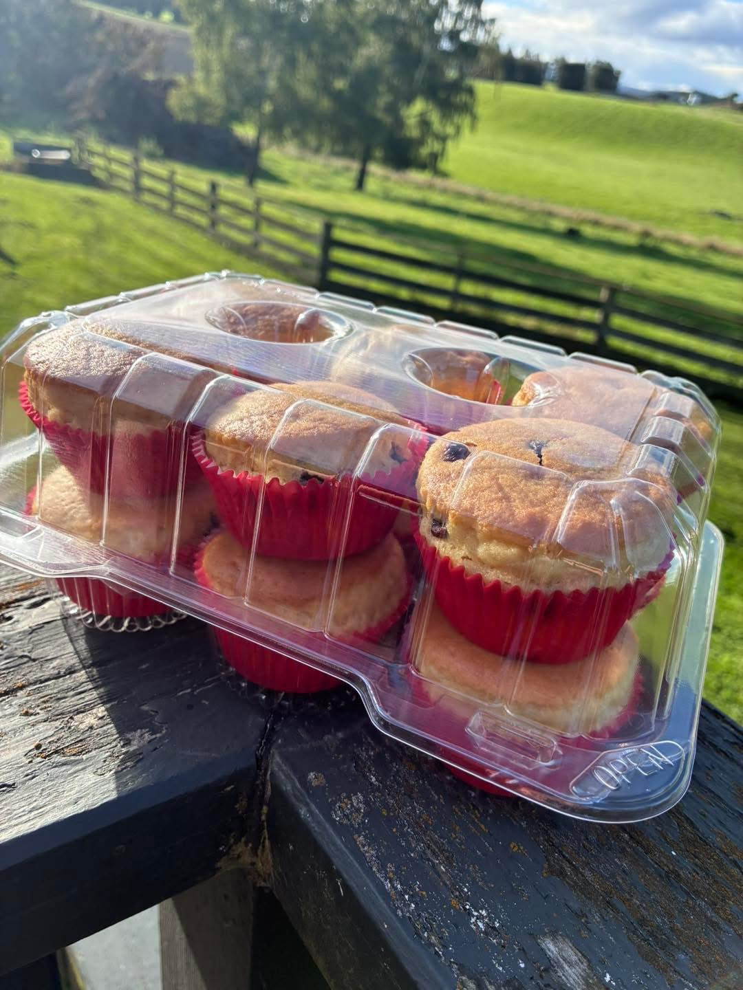 Lunchbox Muffins